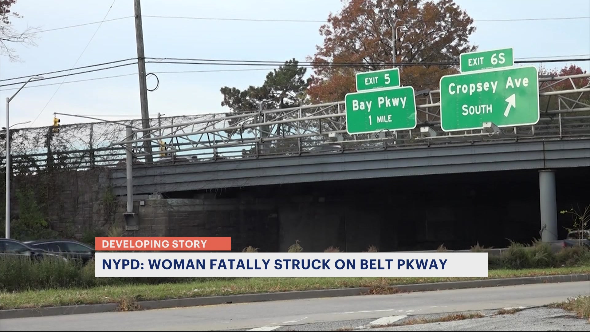 News 12 | Brooklyn | Nypd Identify Woman Fatally Struck While Getting ...