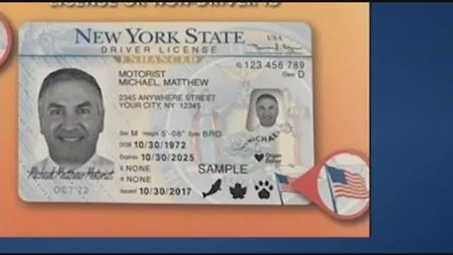 Article 109816 Thumbnail