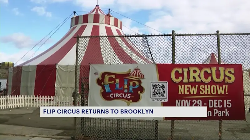 Story image: Fl!p Circus brings family fun to McCarren Park 