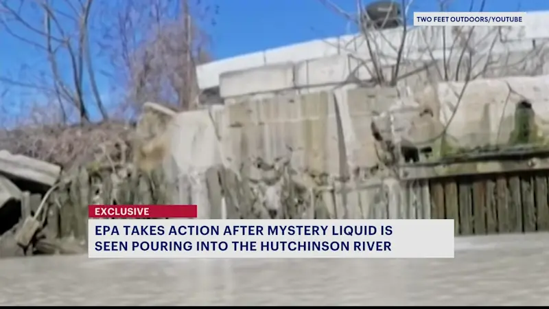 Story image: EPA takes action after mystery liquid seen pouring into the Hutchinson River