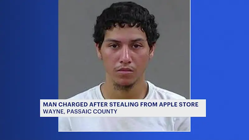 Story image: Alleged laptop thief chased down after Apple store grab in Wayne