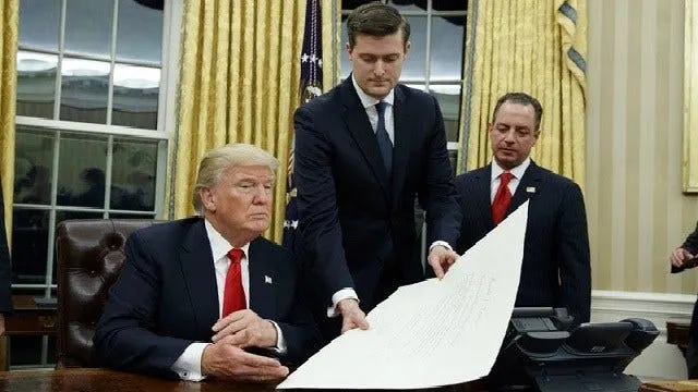 Article 115353 Thumbnail
