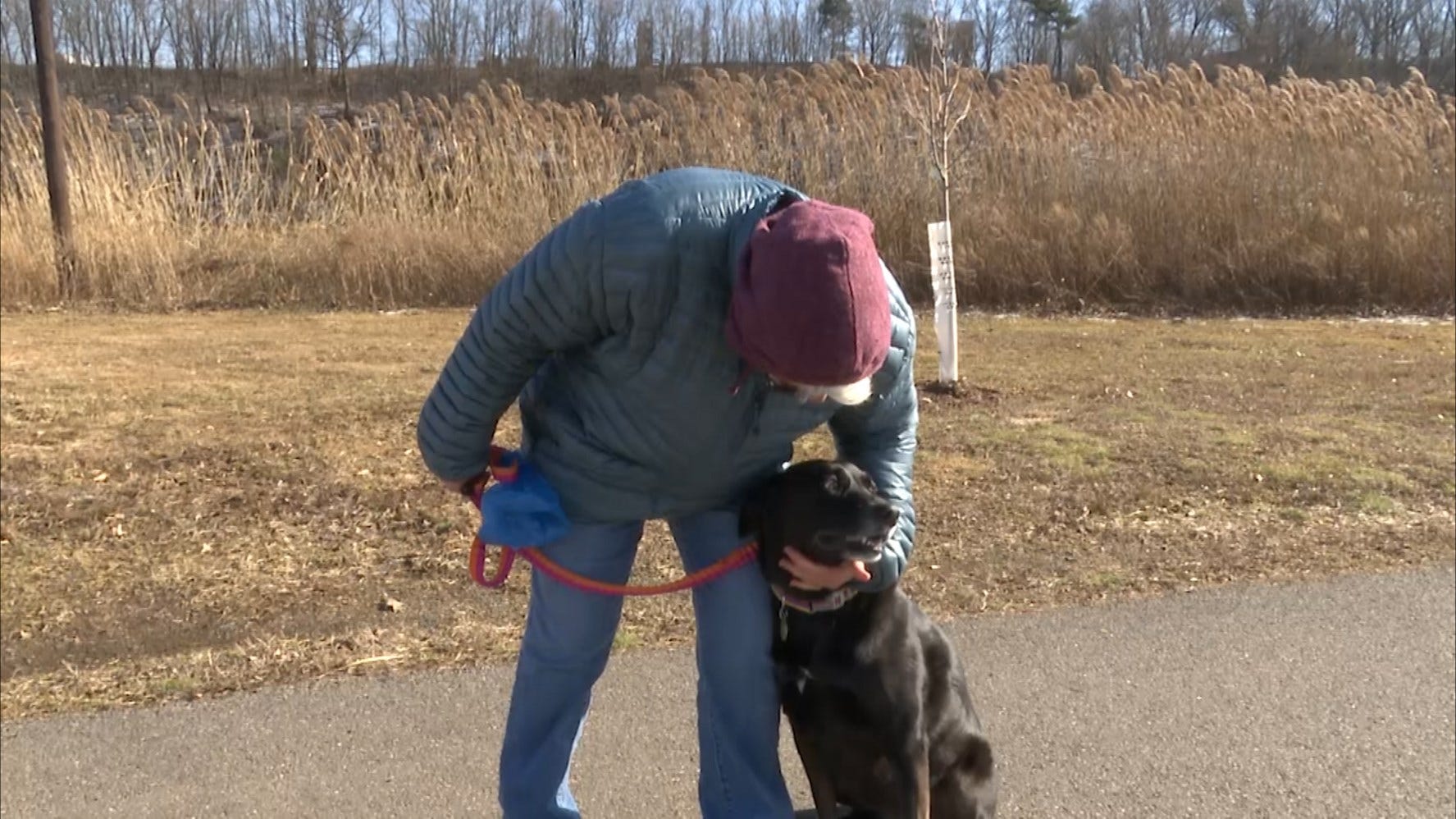 Article 49724 Thumbnail