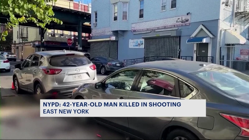 Story image: NYPD: 1 dead, 1 injured in overnight shootings in Cypress Hills and East New York