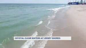 No, it’s not the Caribbean. New Jersey’s oceanfront really is that clear right now