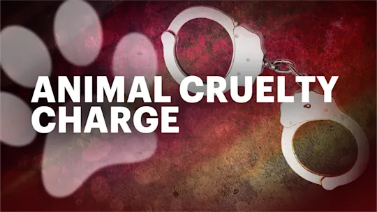 Animal cruelty