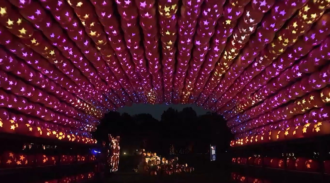 Great Jack O'Lantern Blaze