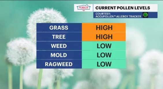 pollen hv.JPG