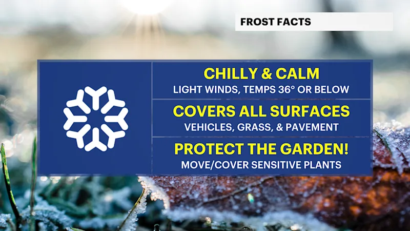 HEX_Winter_Frost.png