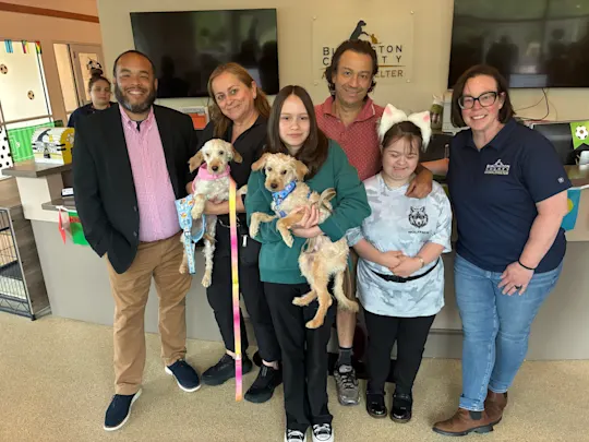 abandoned dogs adopted 1