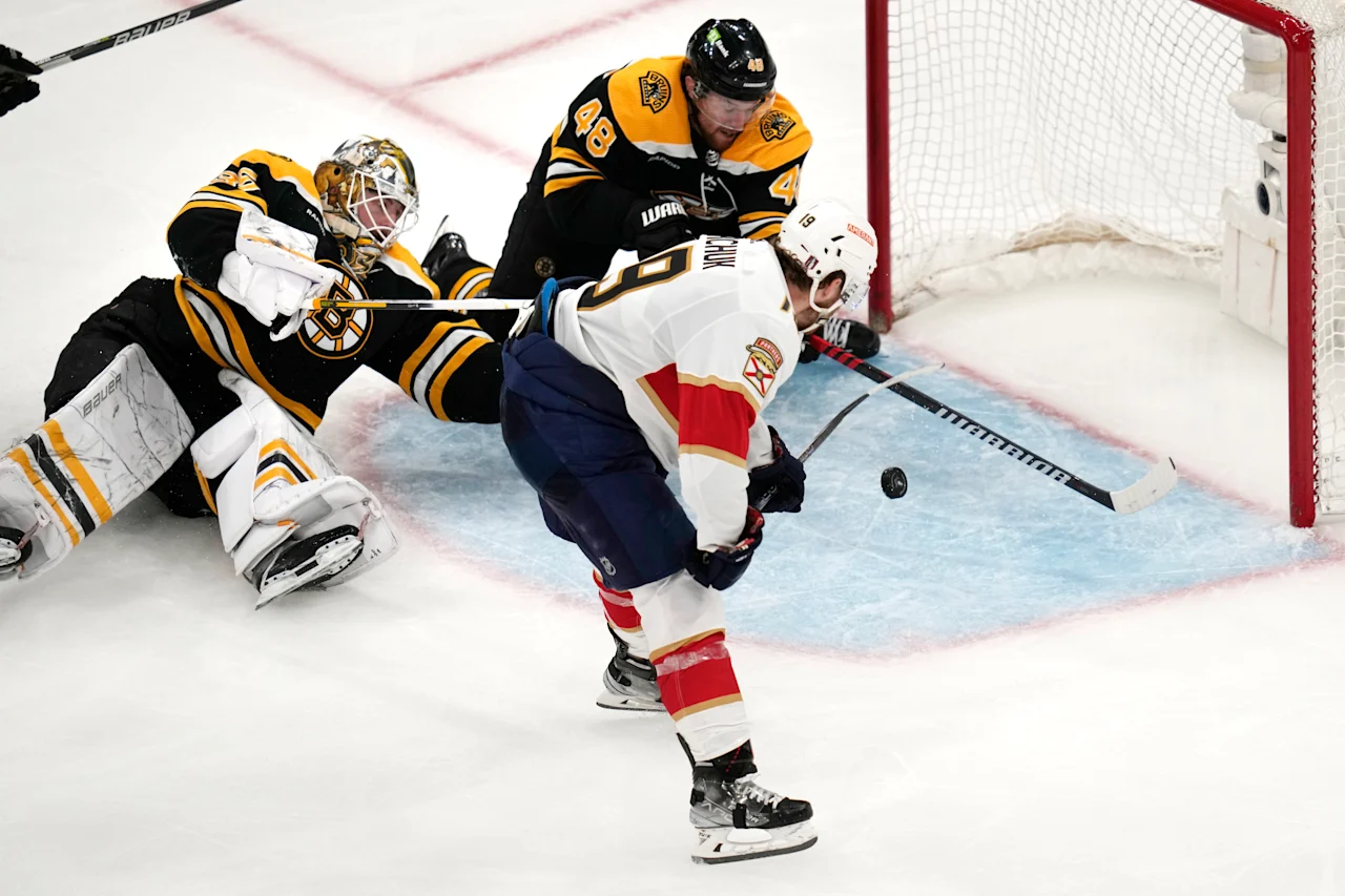 Bruins