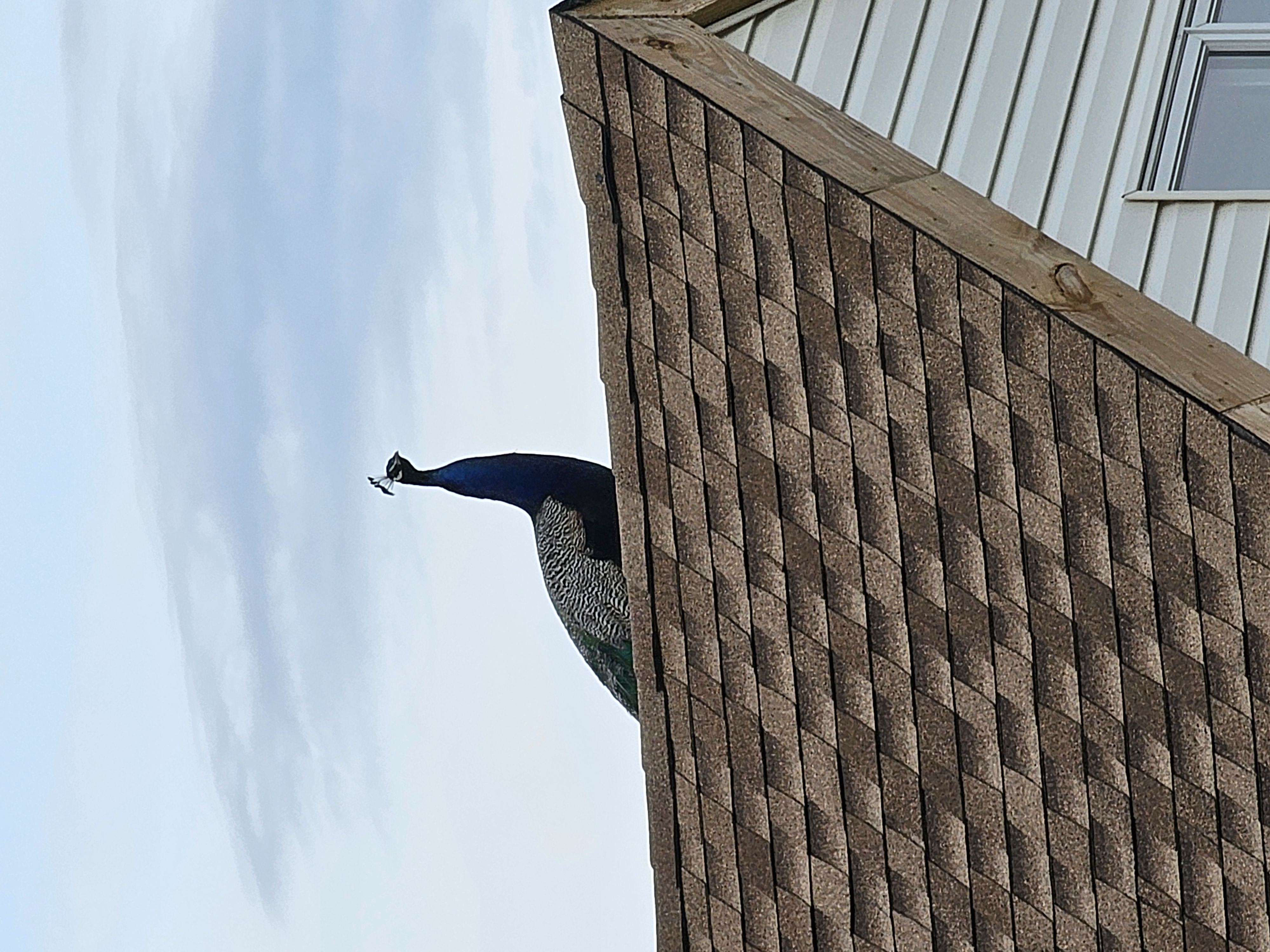 20230618_193605 (1).jpg