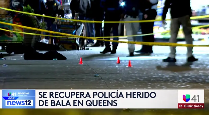 Story image: Univision 41 News Brief: Se recupera policia herido de bala en Queens