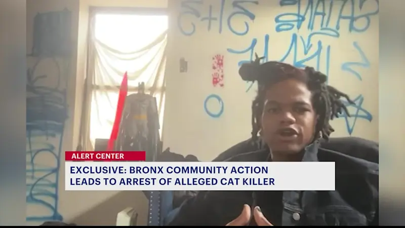 Story image: Bronx man accused of killing cat in ‘ritualistic act’ arrested after community tips, advocates say