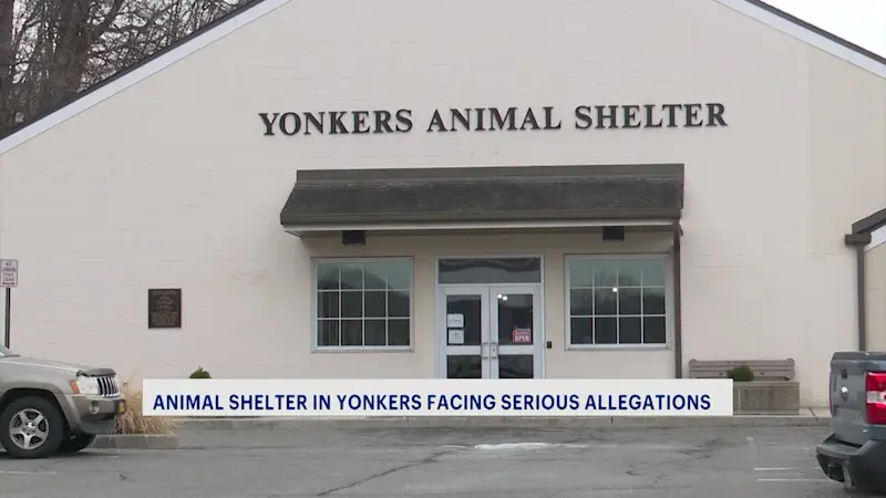 Story image: Misconduct allegations made against animal control officer at Yonkers Animal Shelter