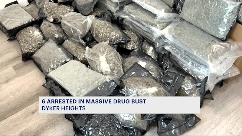 Story image: Nearly 1,000 pounds of illegal drugs, guns found in Dyker Heights takedown