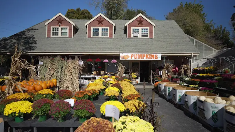 Story image: Made in Connecticut: Springdale Florist & Greenhouses