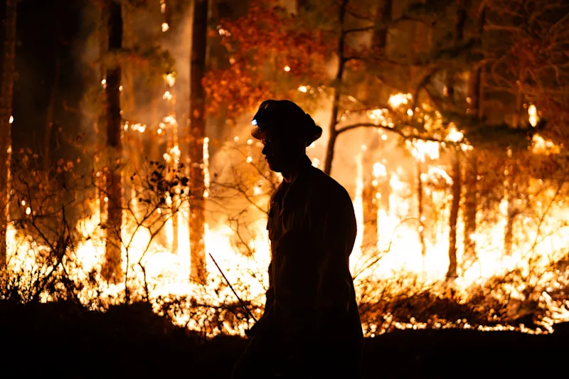 Shotgun Wildfire 1.jpeg