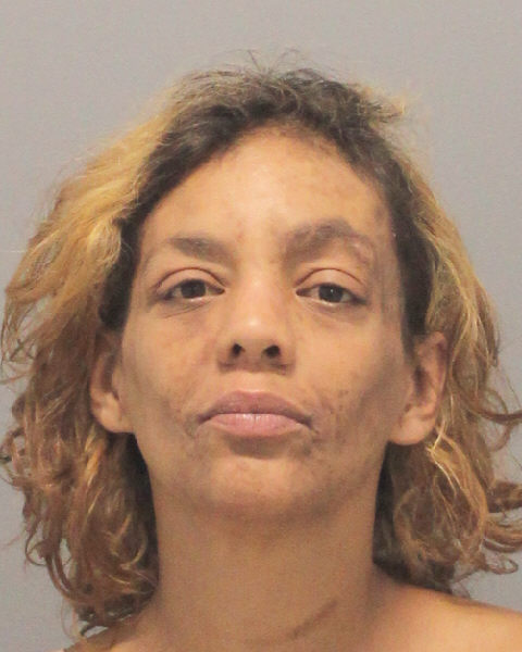 Nicole Demmerele.jpg