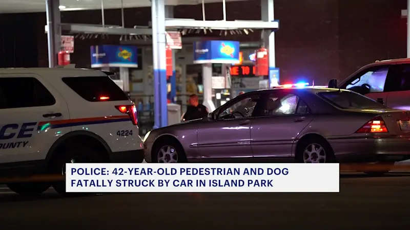 Story image: Man and companion dog fatally struck by a car in Island Park