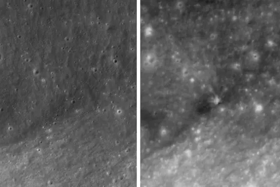 AP26218664307464