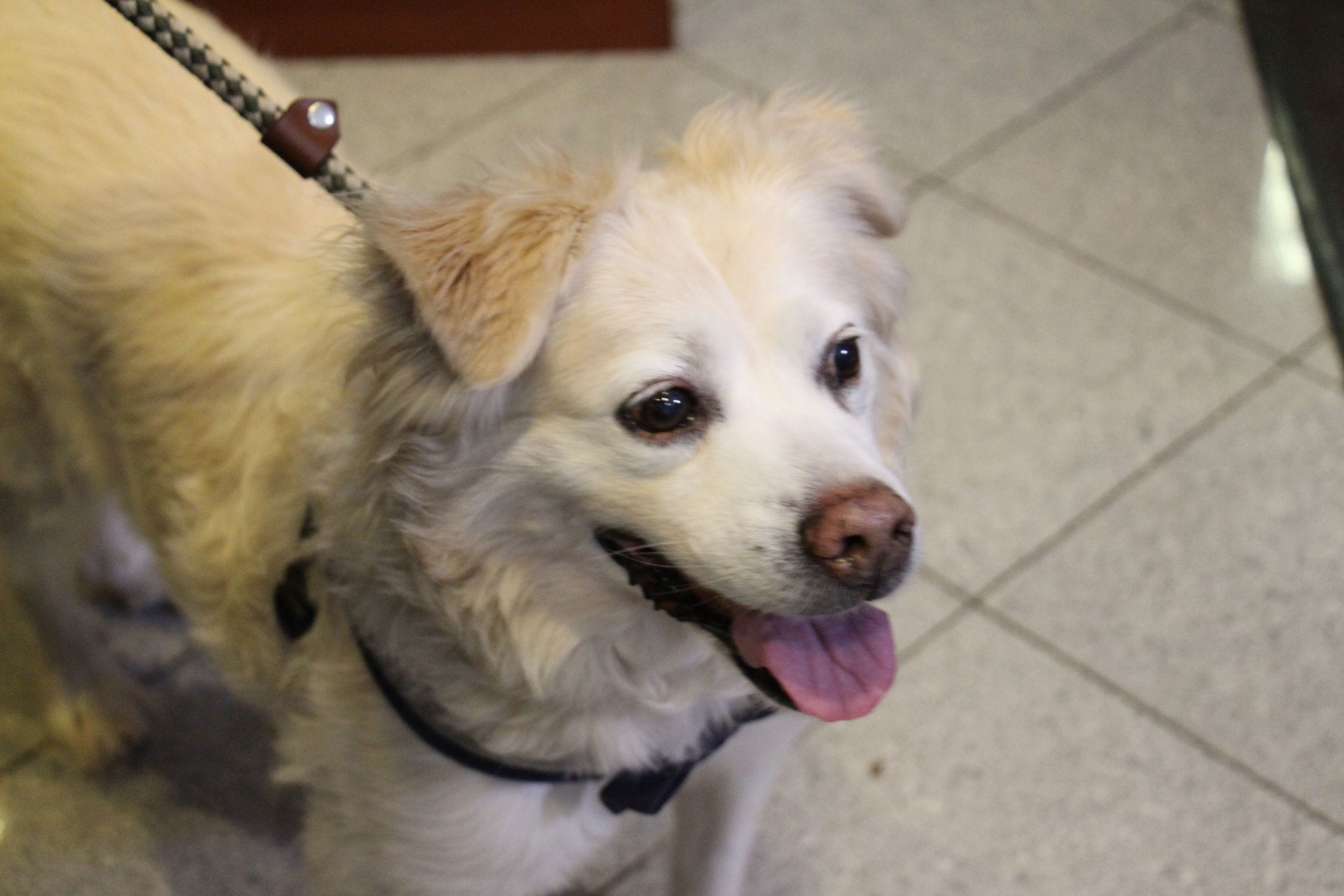 Article 3417 Thumbnail