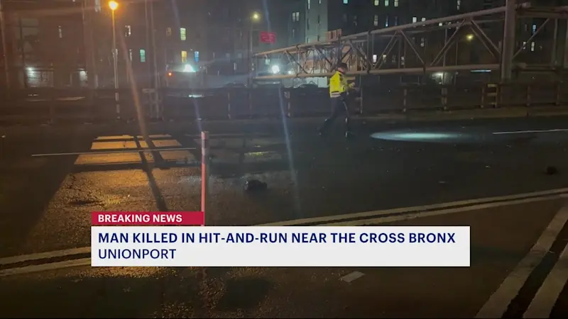 Story image: Man dead after hit-and-run in Unionport 