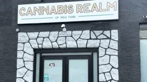 White Plains carefully welcomes New York's legal cannabis industry