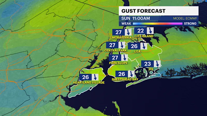AG Wind Gust Forecast.png