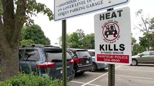 Hot Cars