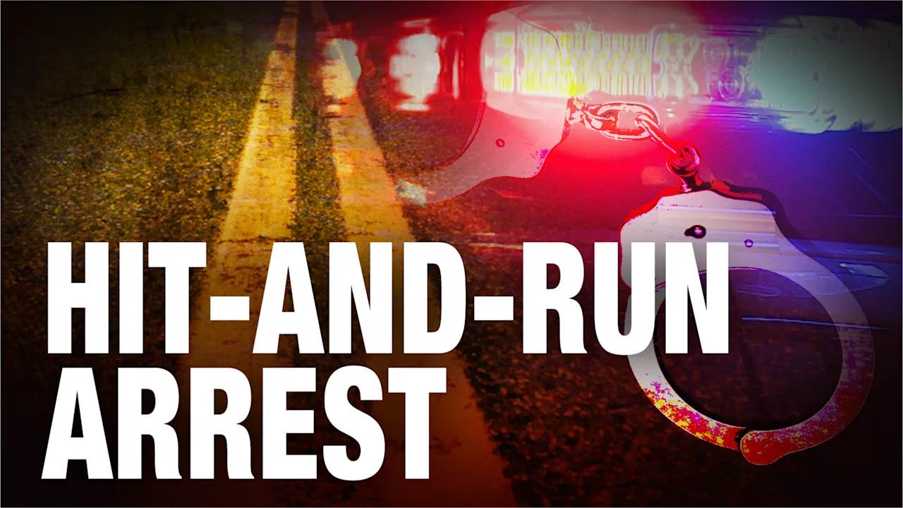 hit and run arrest