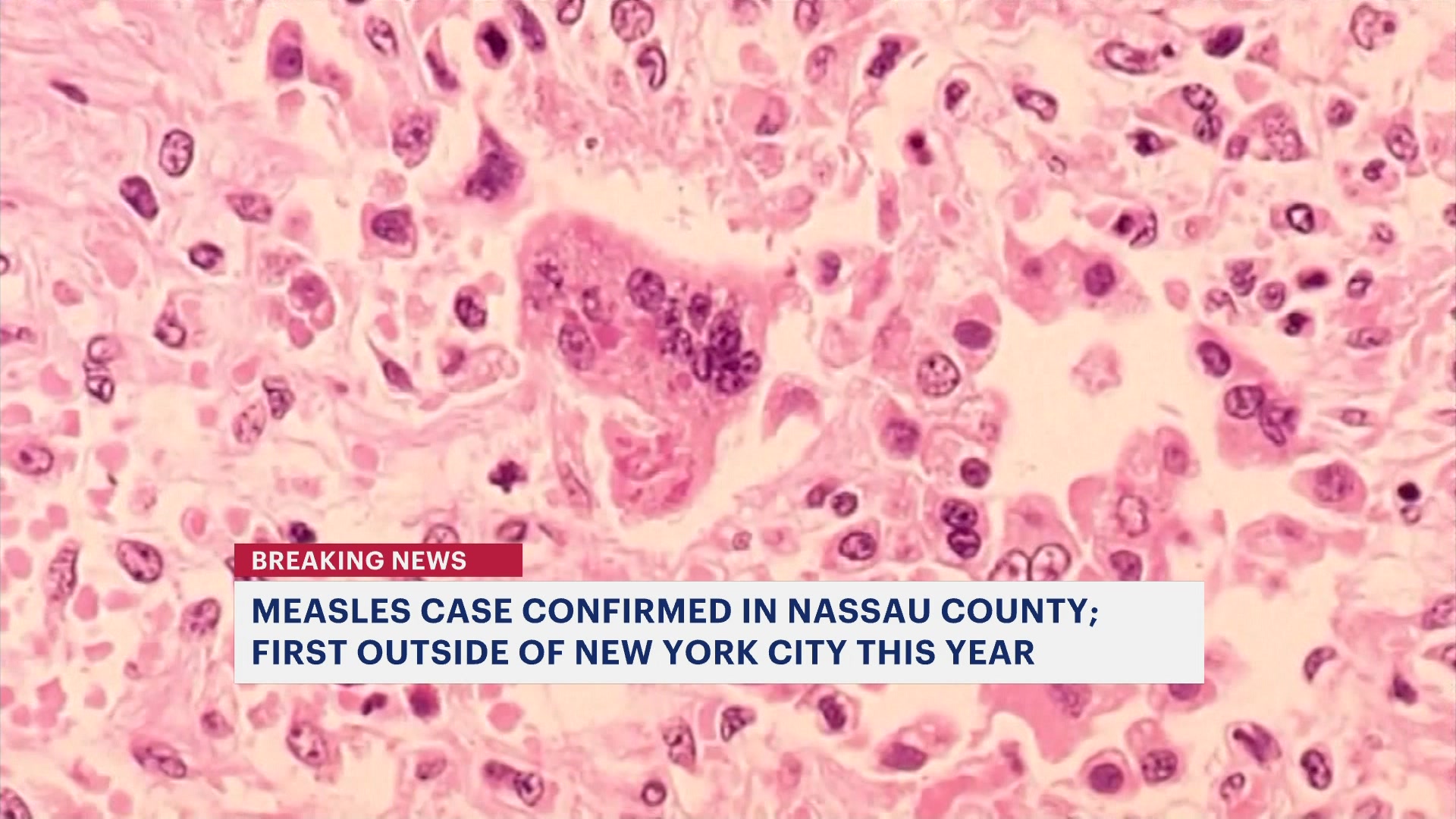 longisland.news12.com