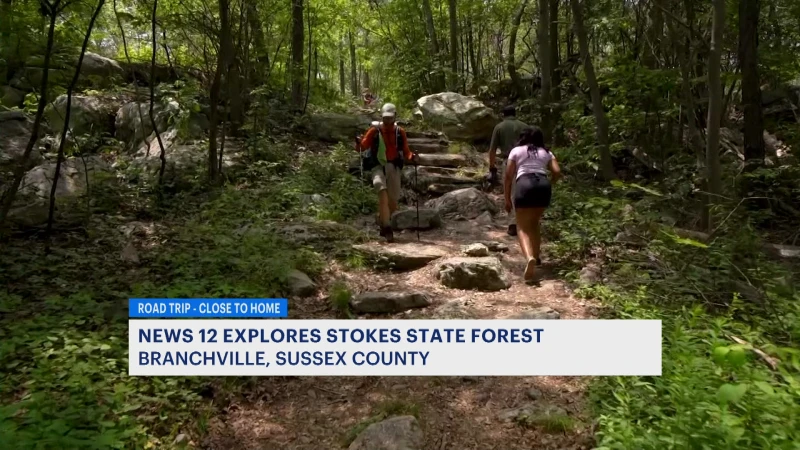 Story image: Day trip fun at Stokes State Forest in Branchville