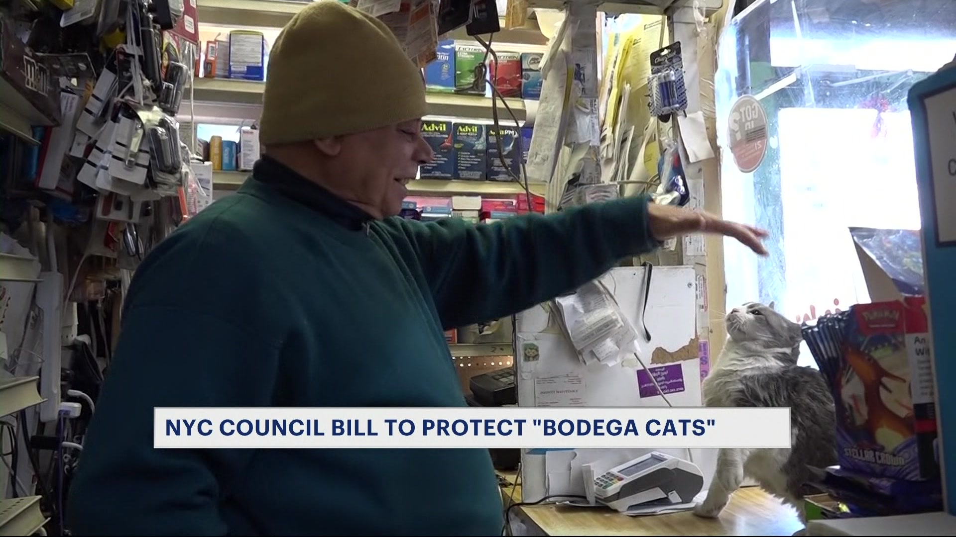 BX12PMBODEGACATS_2026-04-16-12-14-21