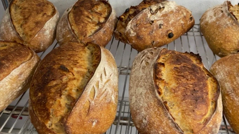 Story image: The Hudson Oven brings Westchester communities together through breadmaking and sourdough scavenger hunt