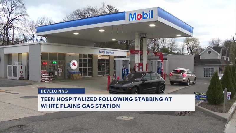 Story image: Teen hospitalized after stabbing in White Plains
