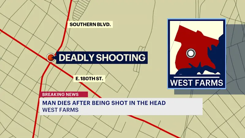Story image: Man fatally shot in West Farms identified