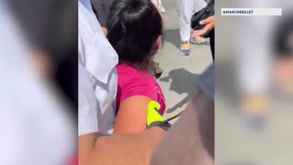 Parks officer's arrest of teen in Battery Park sparks debate over street vendor regulations, enforcement