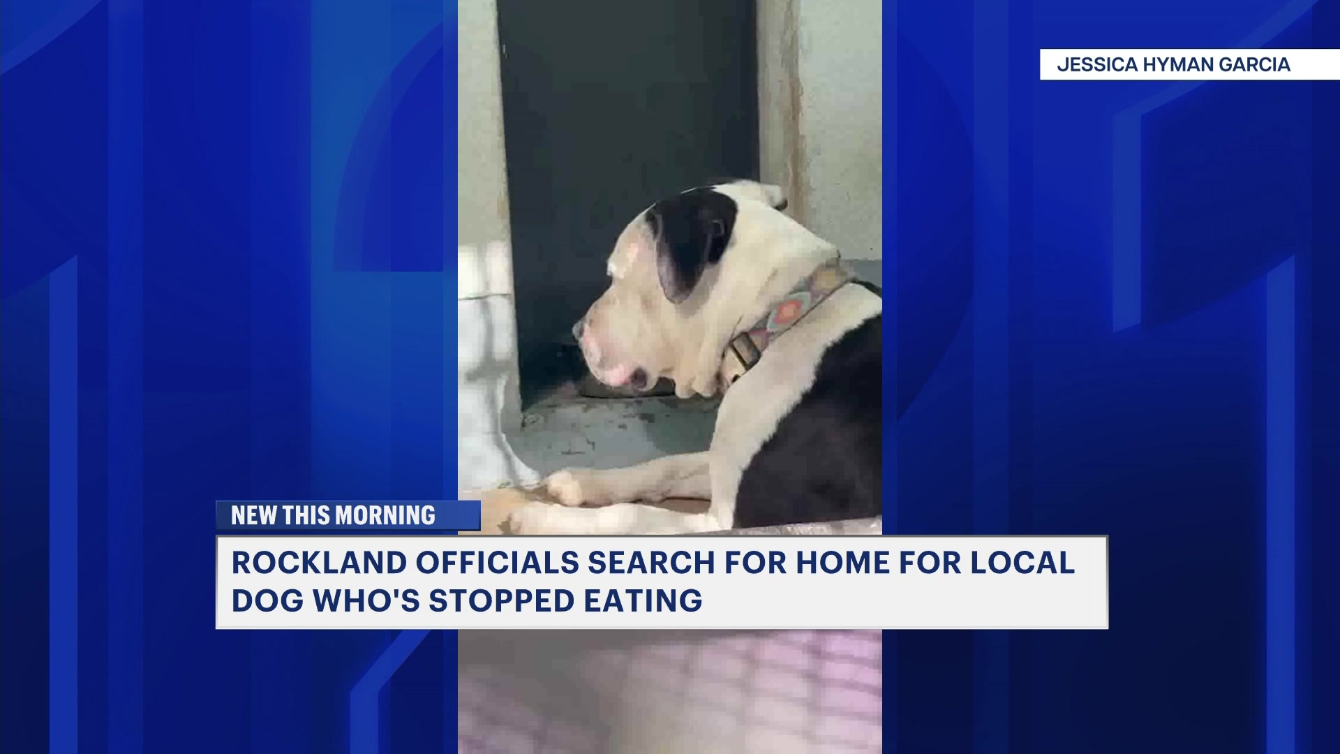 WCCookieCrumblesKK_2026-04-19-12-11-37