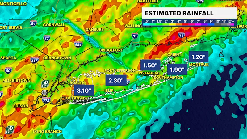 RAIN EST WIDE.png