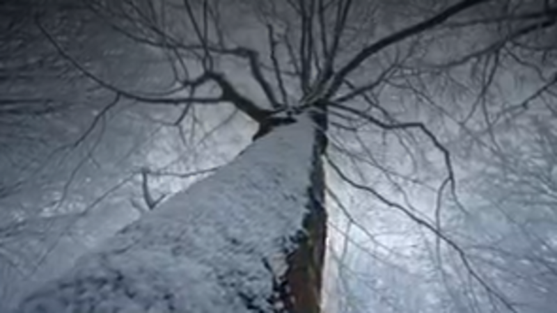 Story image: Measuring snowfall: How to be a part of weather history