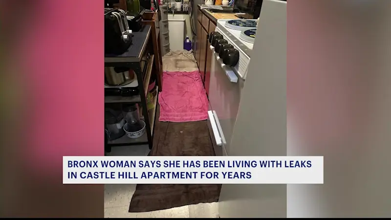 Story image: Bronx woman says she has been living with leaks in Castle Hill apartment for years