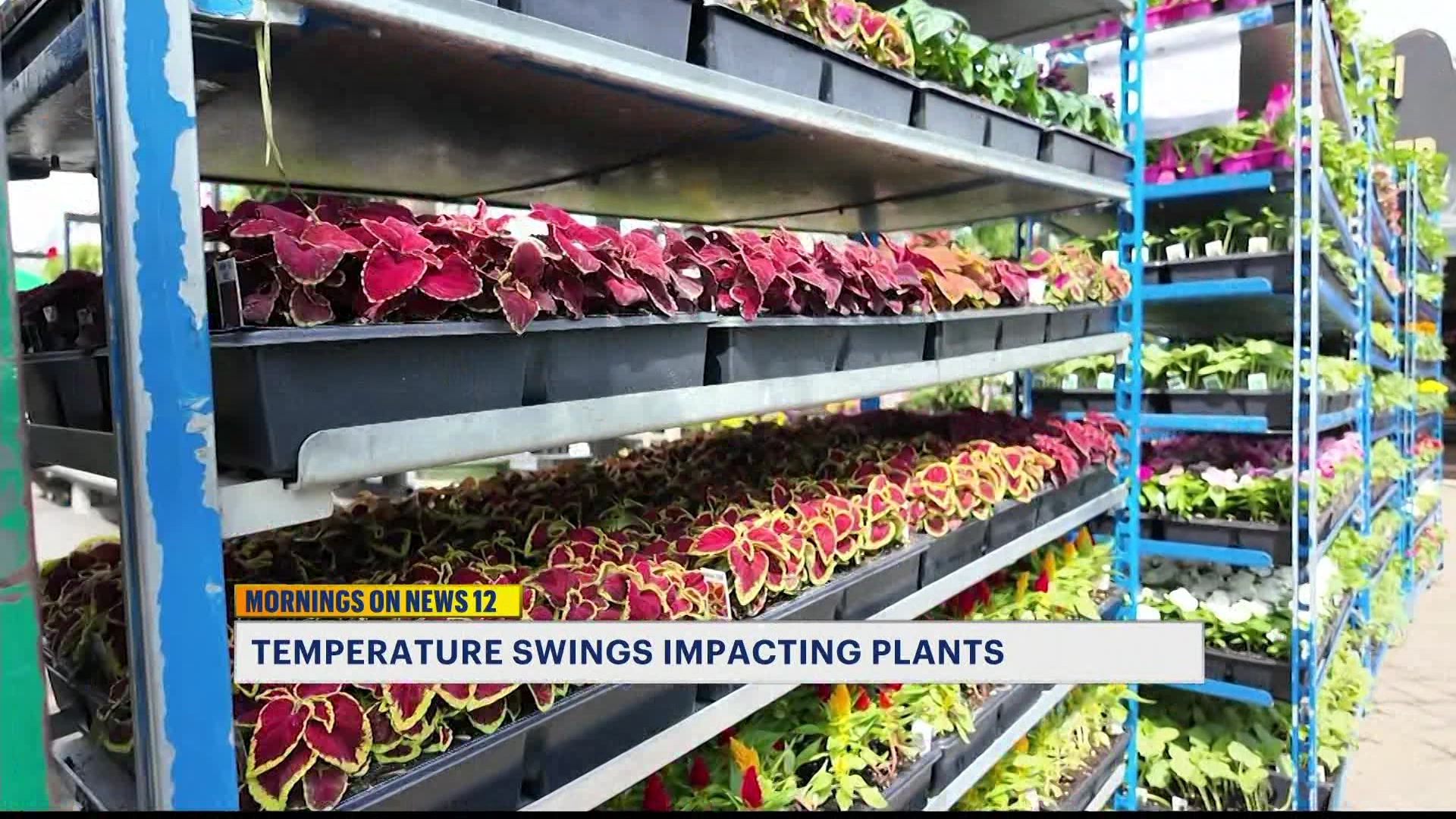 BKextra424_2026-04-24-07-01-18