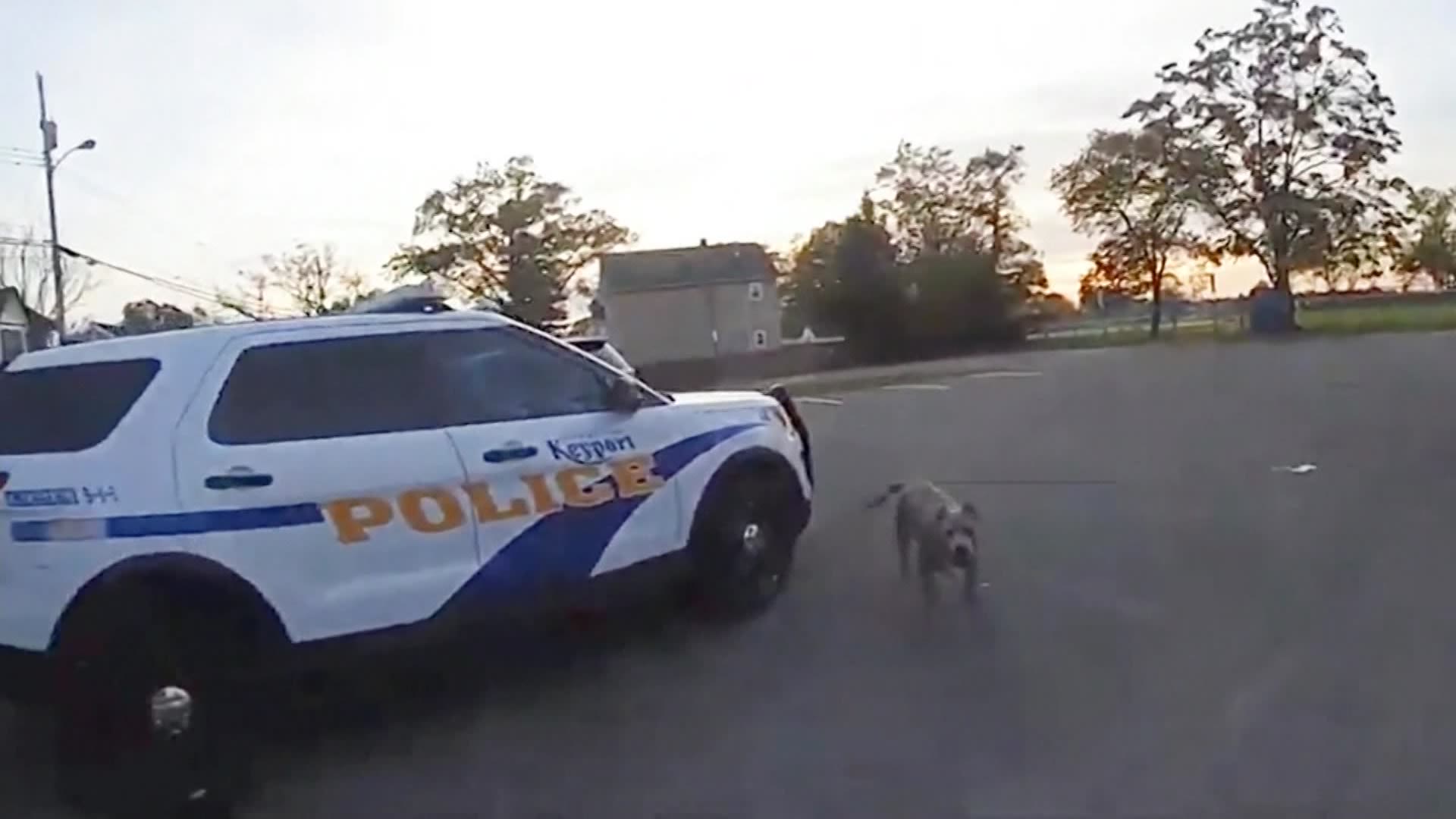 Authorities release bodycam video of officer shooting dog in Keyport