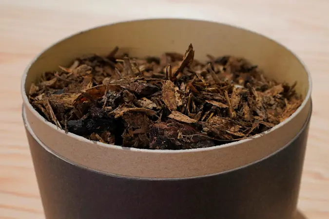 Story image: Gov. Murphy signs human composting bill as alternative to burial and cremation