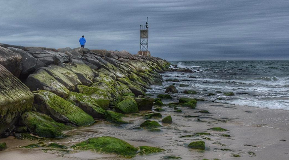 Article 114978 Thumbnail