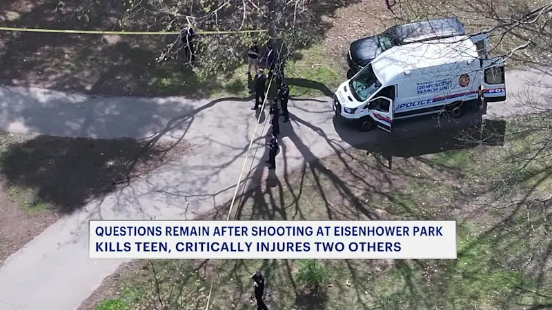 Story image: Police: Shooter in custody, teen victim believed to be second shooter at Eisenhower Park