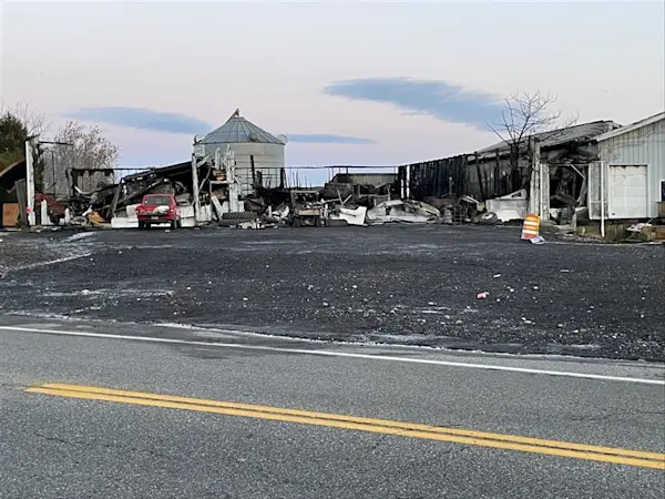 Story image: 'I don’t know what we’re going to do.' Family speaks out after dozens of animals killed in East End barn blaze
