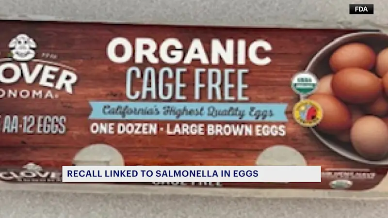Story image: Salmonella outbreak linked to eggs sickens dozens, including 2 people in NJ