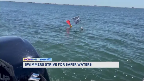 Group of Brooklyn open water swimmers aim to make the sea safer